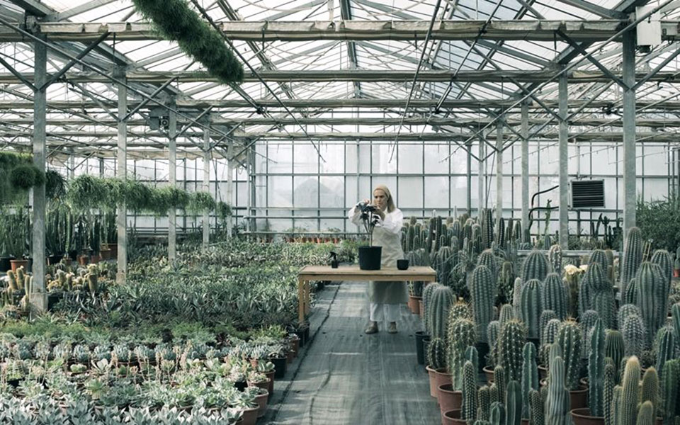 η-πολιτιστική-ατζέντα-της-πέμπτης-2389557