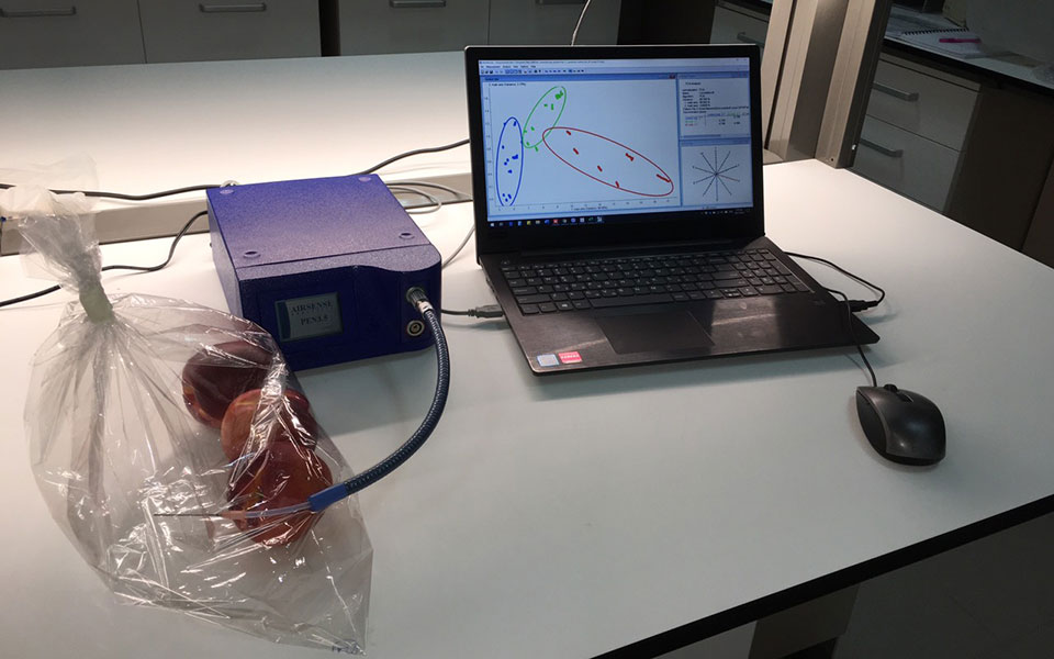 διάσωση-των-φρούτων-από-τους-εχθρούς-2390666