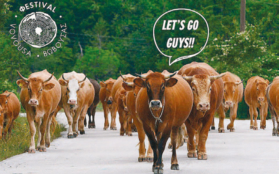 φεστιβάλ-βοβούσας-αντίστροφη-μέτρησ-2387999