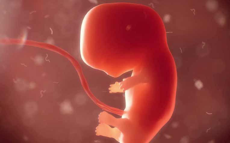 γυναίκα-η-αρχή-του-κόσμου-2389934