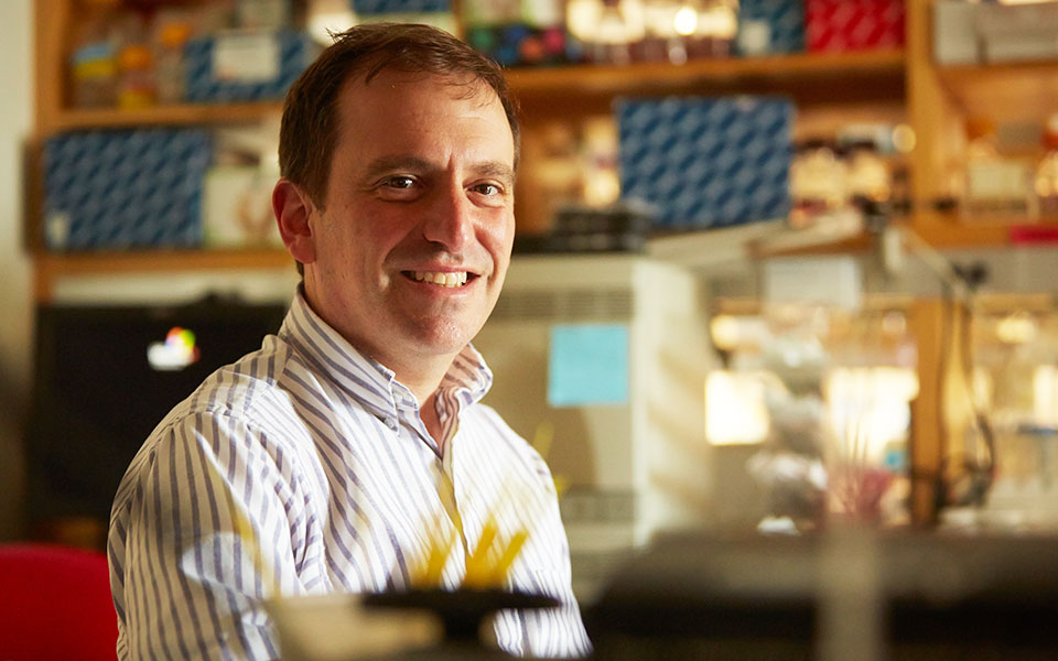 κορωνοϊός-μαρκ-λίπσιτς-η-ευρώπη-είν-2386392