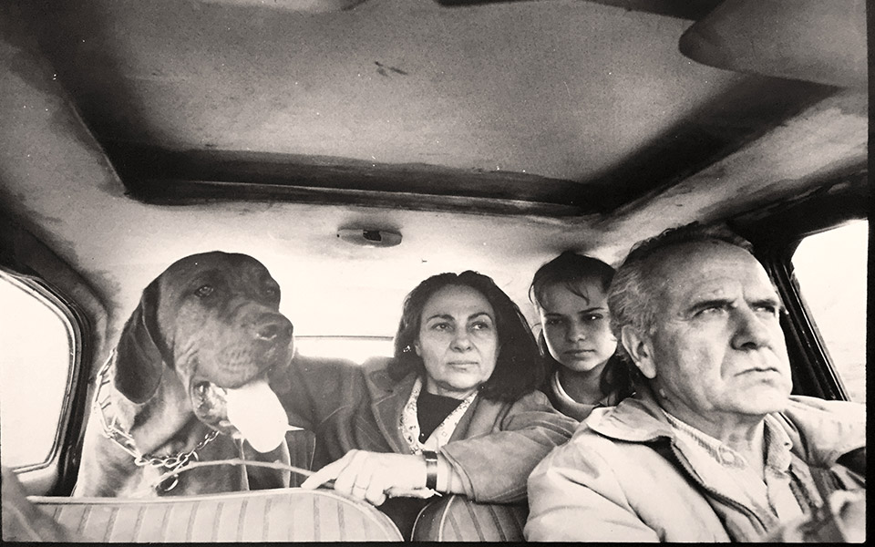 μπανάνες-και-alfa-romeo-2390135