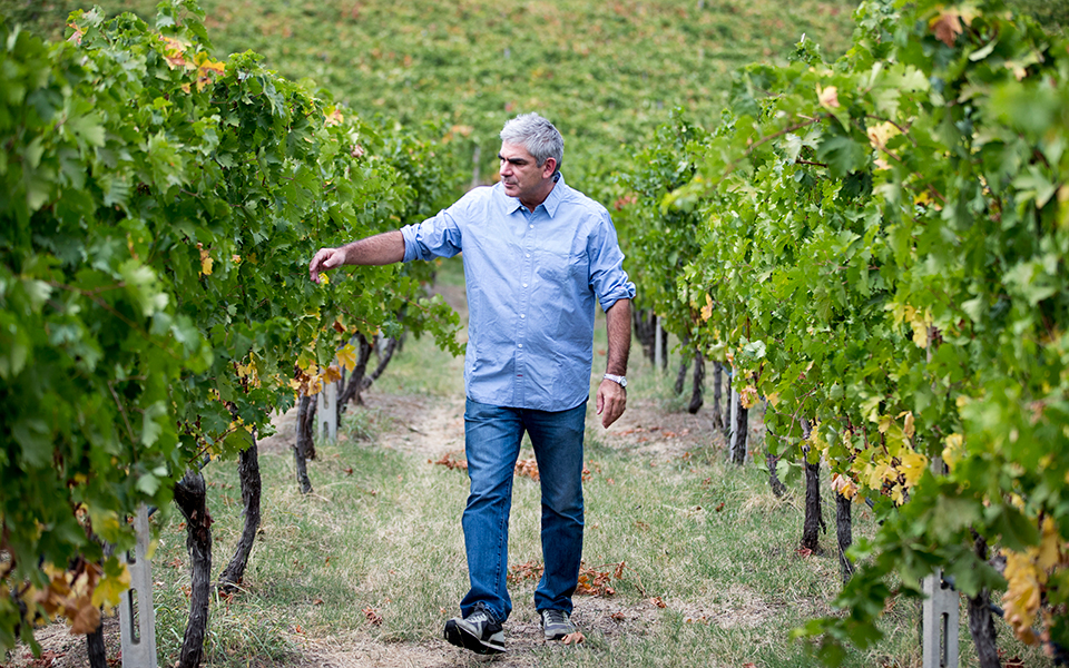 η-πανδημία-πληγώνει-τον-ελληνικό-αμ-2388812