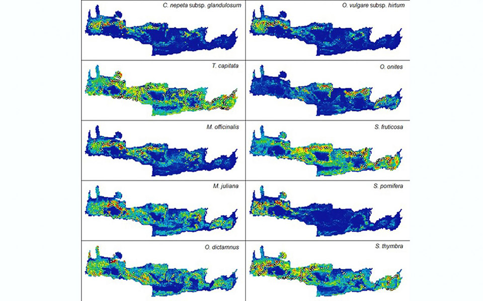πες-μου-πού-είναι-το-χωράφι-σου-να-σου-π-2388603