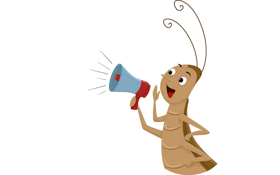 εγώ-και-ο-γρύλος-μου-2388308