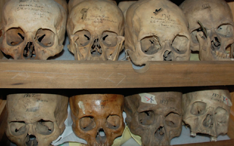 η-συλλογή-που-προκαλεί-2390461