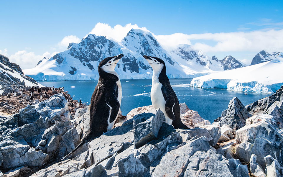 h-aνταρκτική-θερμαίνεται-με-ταχύτατους-2386520