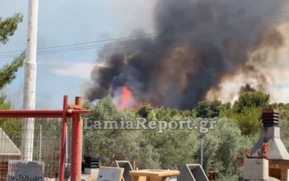 σε-δύο-μέτωπα-μαίνεται-η-πυρκαγιά-στο-θ-2388423