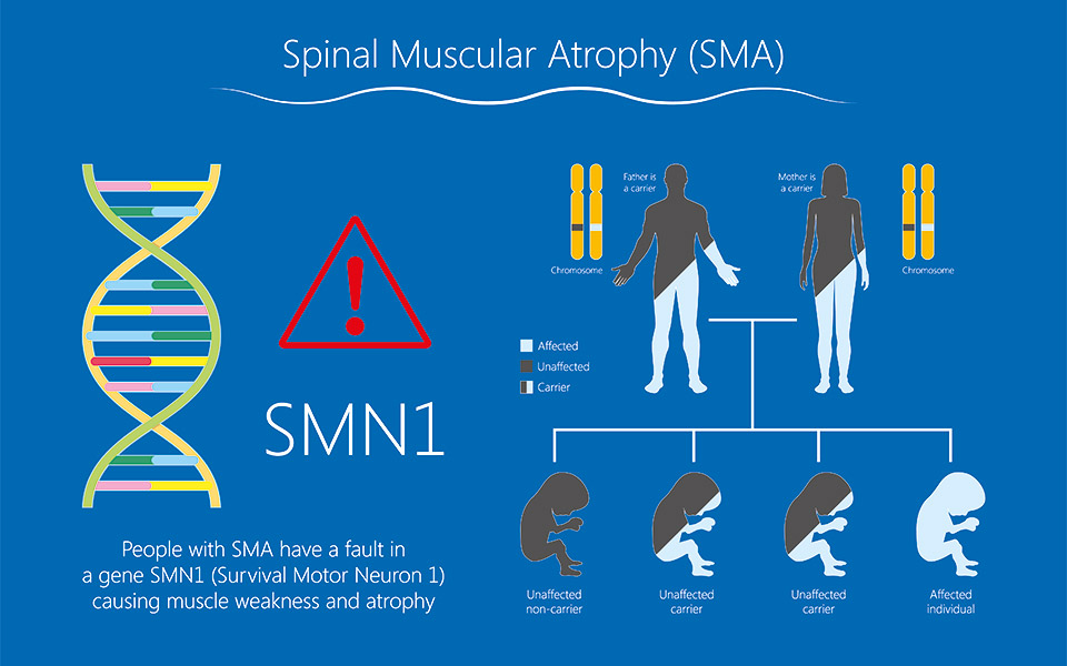 νέοι-δρόμοι-στην-αντιμετώπιση-της-νωτ-2386593