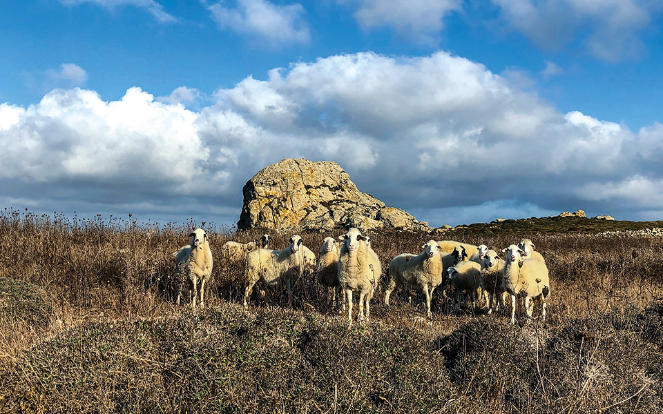 τήνος-της-φύσης-και-των-ανθρώπων-2390690