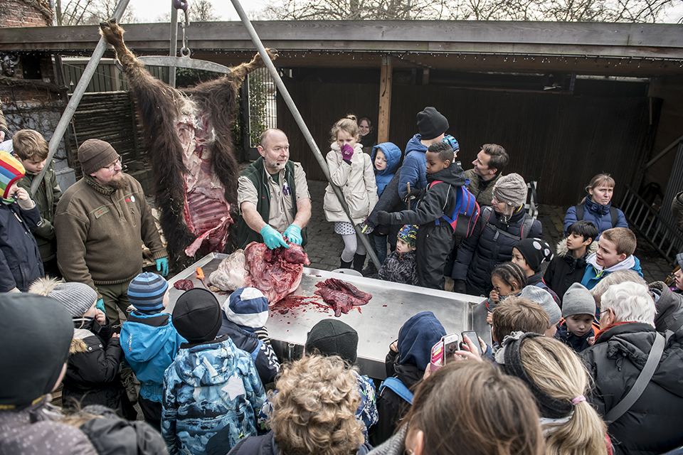 φωτογραφήματα-2299626