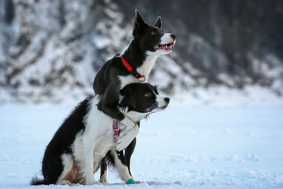 φωτογραφήματα-2300668