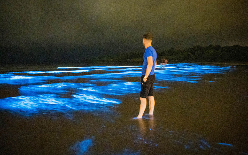 θαλάσσια-ντίσκο-από-πλαγκτόν-σε-παρα-2393183