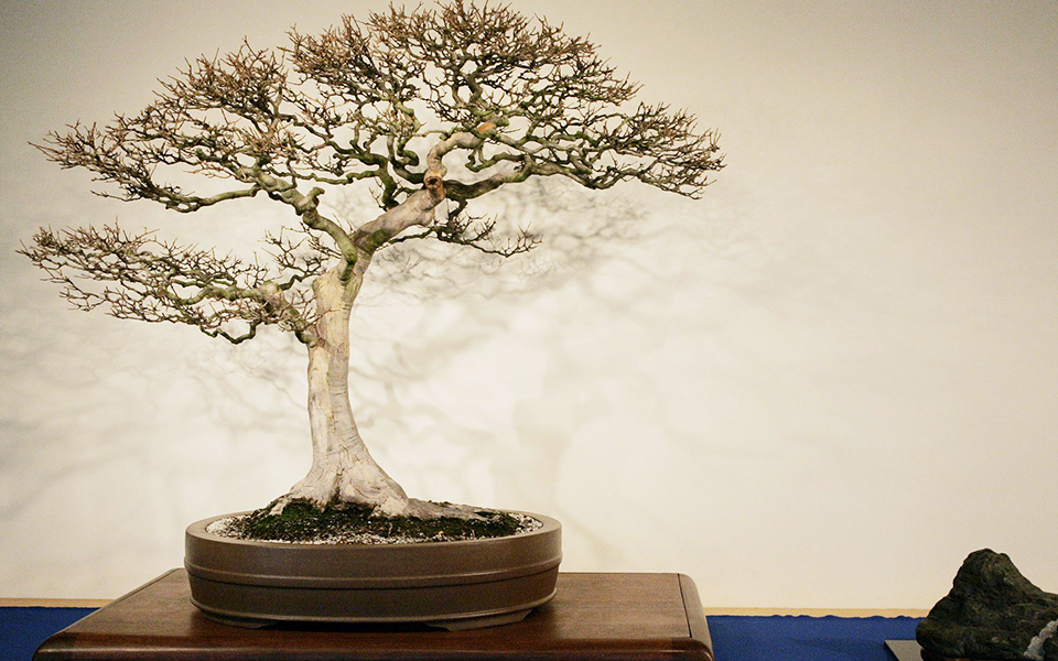 κάμερες-συναγερμοί-φράκτες-γιατί-φυτ-2299752