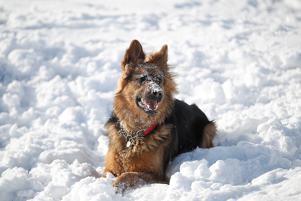 φωτογραφήματα-2297735