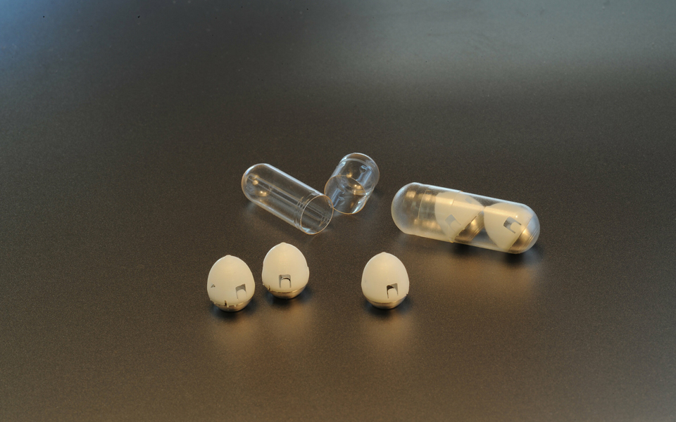 επιστήμονες-δημιούργησαν-χάπι-ινσου-2298830