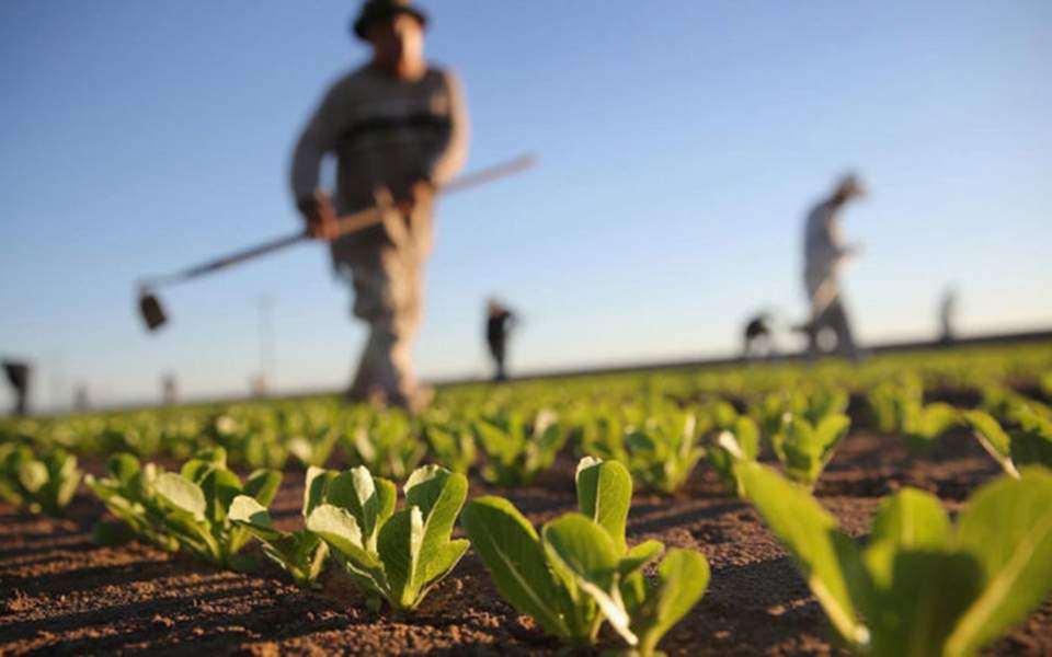 ημερίδα-για-την-αγροδιατροφή-στην-κρή-2299484