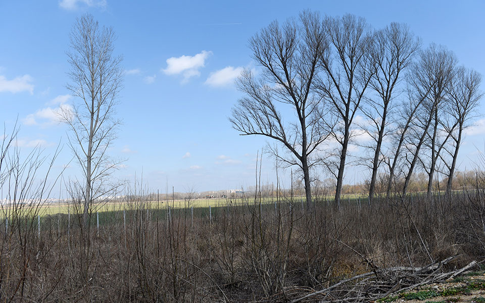 εντός-8-μηνών-ο-νέος-φράχτης-στον-εβρο-2393949