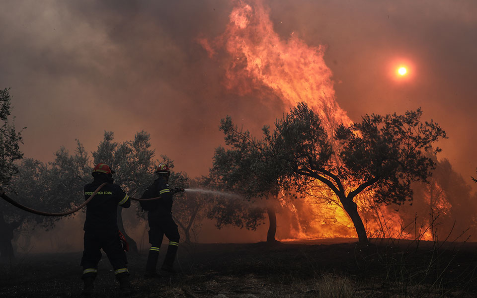 εύβοια-οριοθετήθηκε-η-φωτιά-στις-ροβι-2392933
