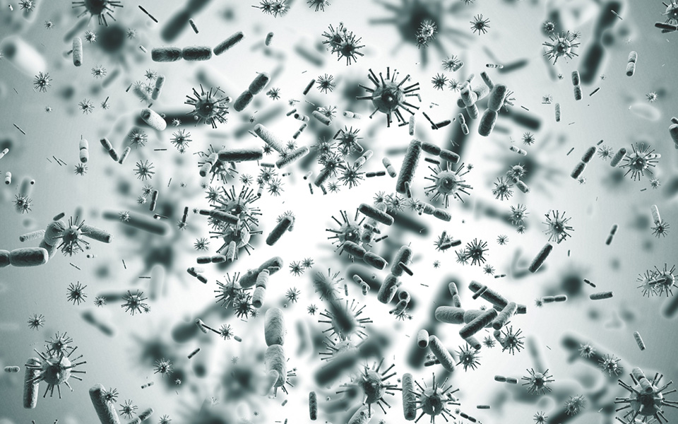 ανακαλύφθηκαν-στο-ανθρώπινο-έντερο-σ-2299705