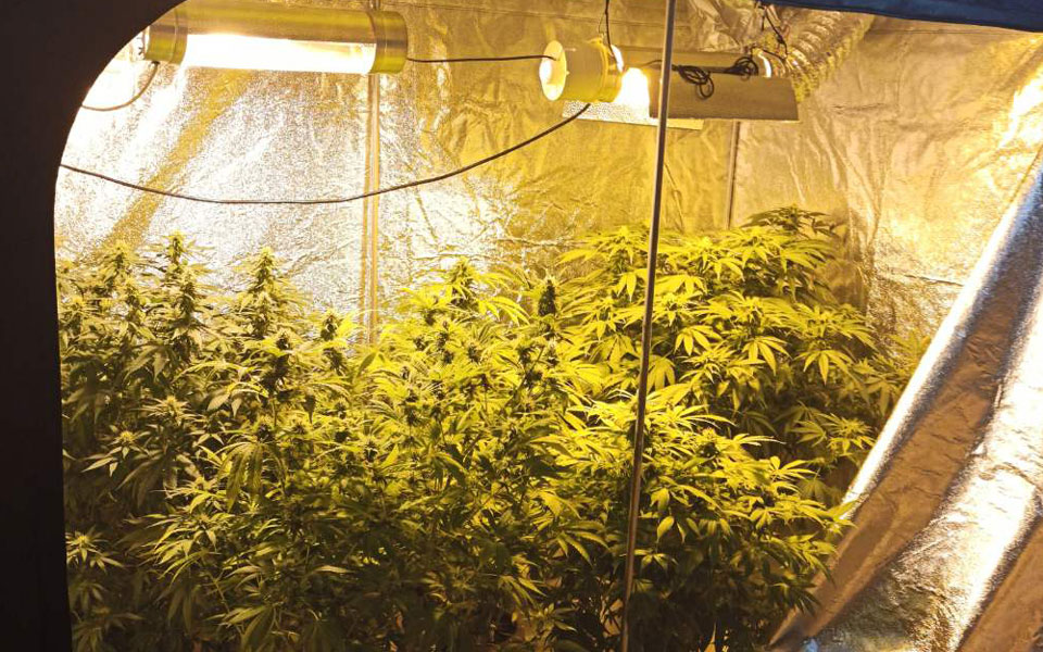 φλώρινα-εστησαν-σύστημα-καλλιέργεια-2391899