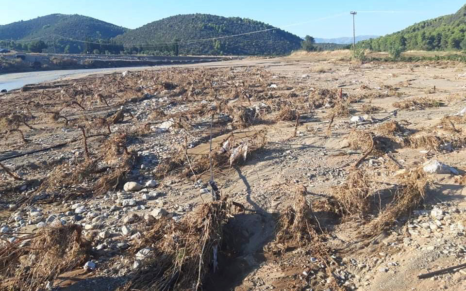 εύβοια-σήμα-κινδύνου-εκπέμπουν-οι-αμπ-2392426