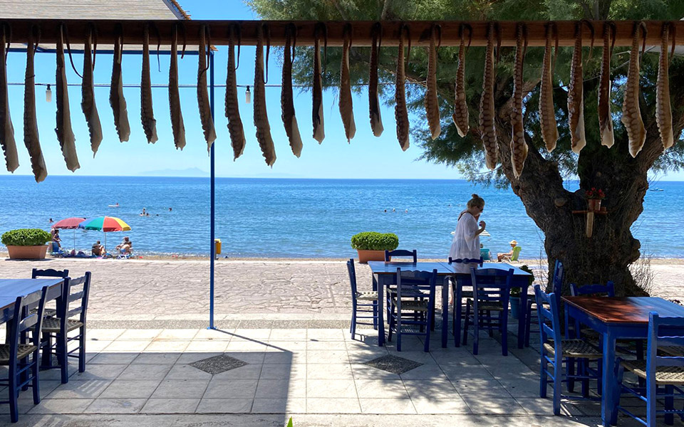 ο-αμύθητος-γαστρονομικός-πλούτος-της-2393399