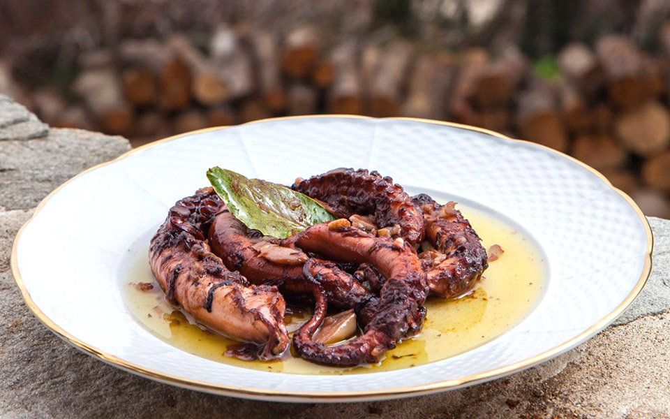 χταπόδι-κρασάτο-και-ξιδάτο-2393302