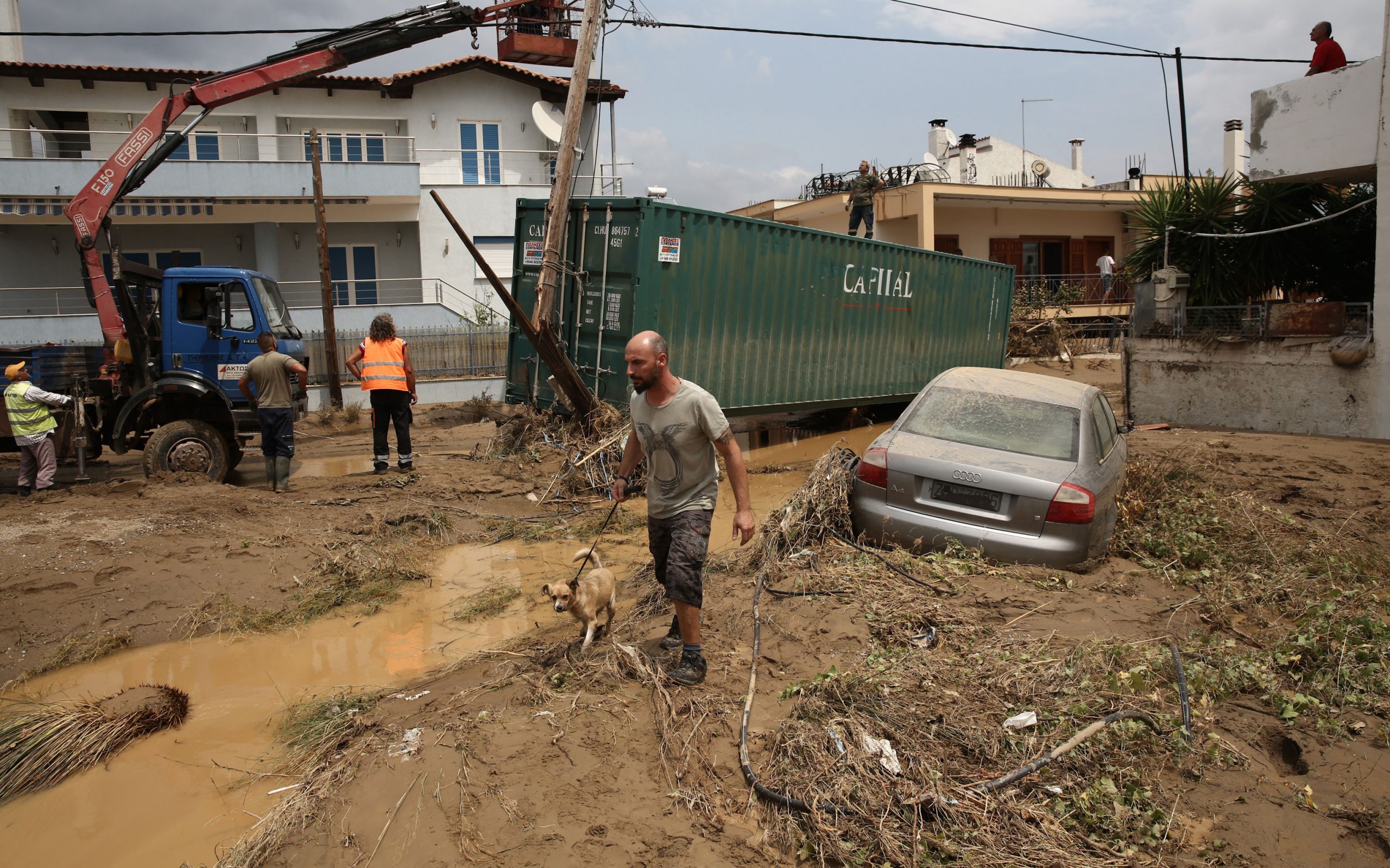 συριζα-για-εύβοια-μοναδική-ικανότητα-2392158