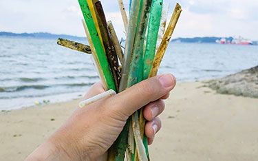 χωρίς-πλαστικά-μιας-χρήσης-από-το-2021-2393953