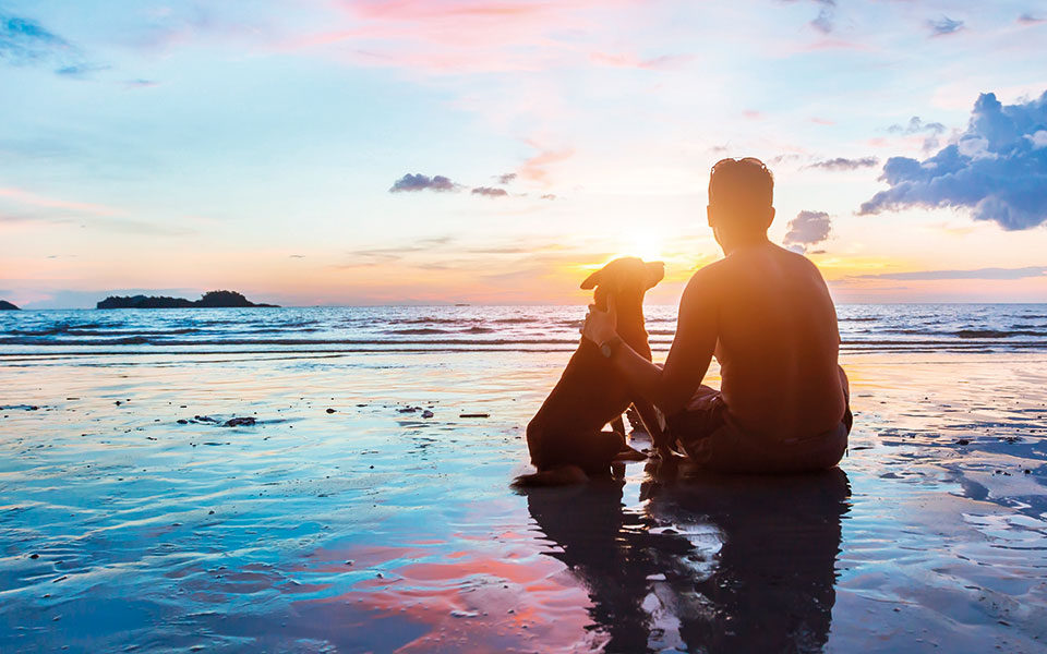 λογικές-πλάνες-και-φιλοζωία-2392303
