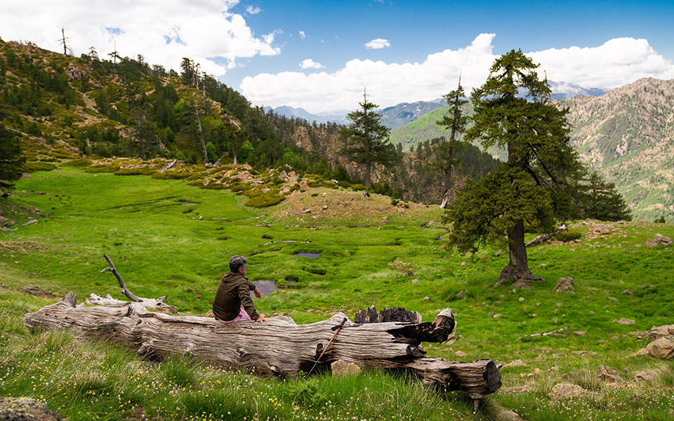 όλοι-για-την-πίνδο-561075304