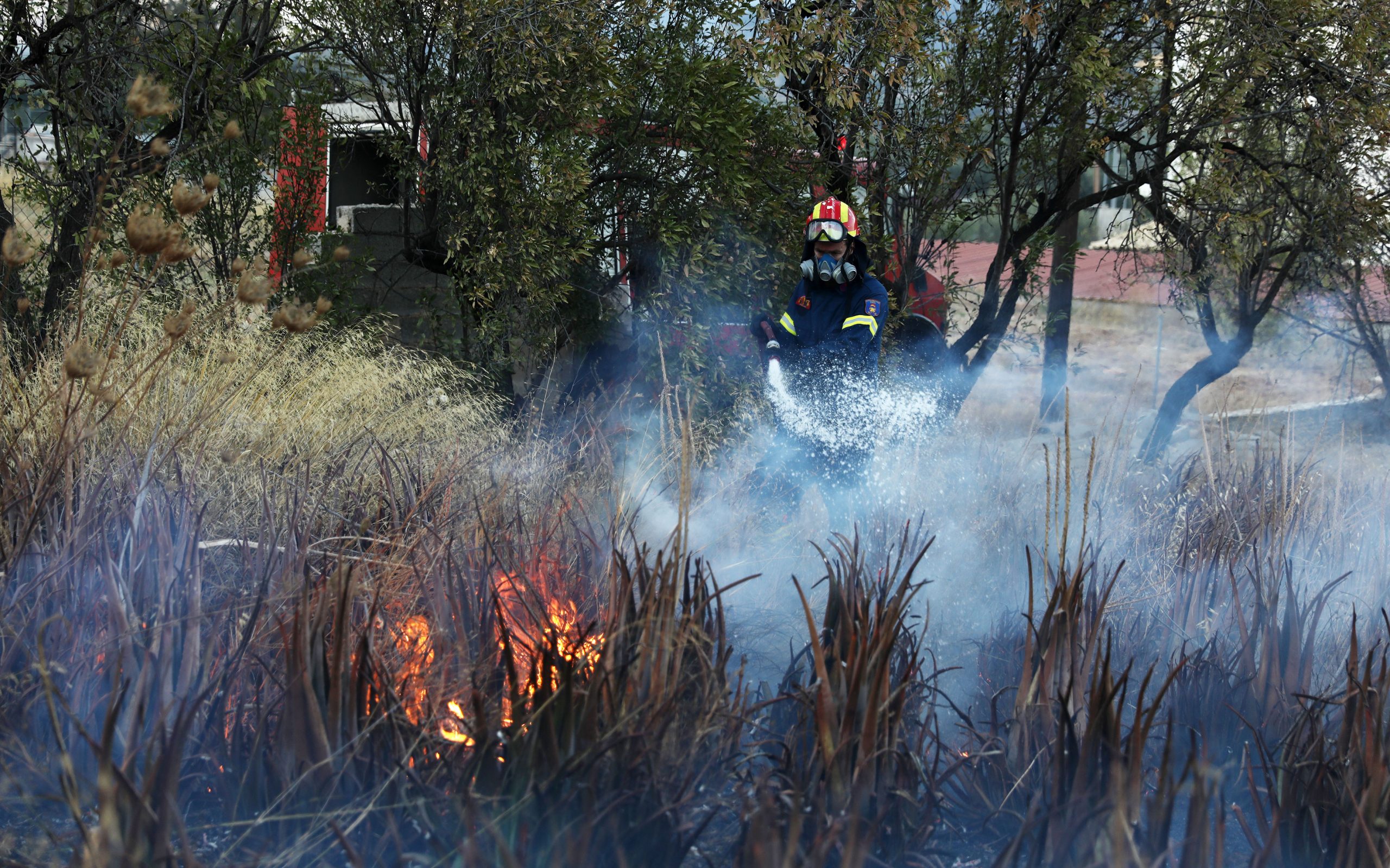 πυρκαγιές-σε-ηλεία-και-λακωνία-561075295