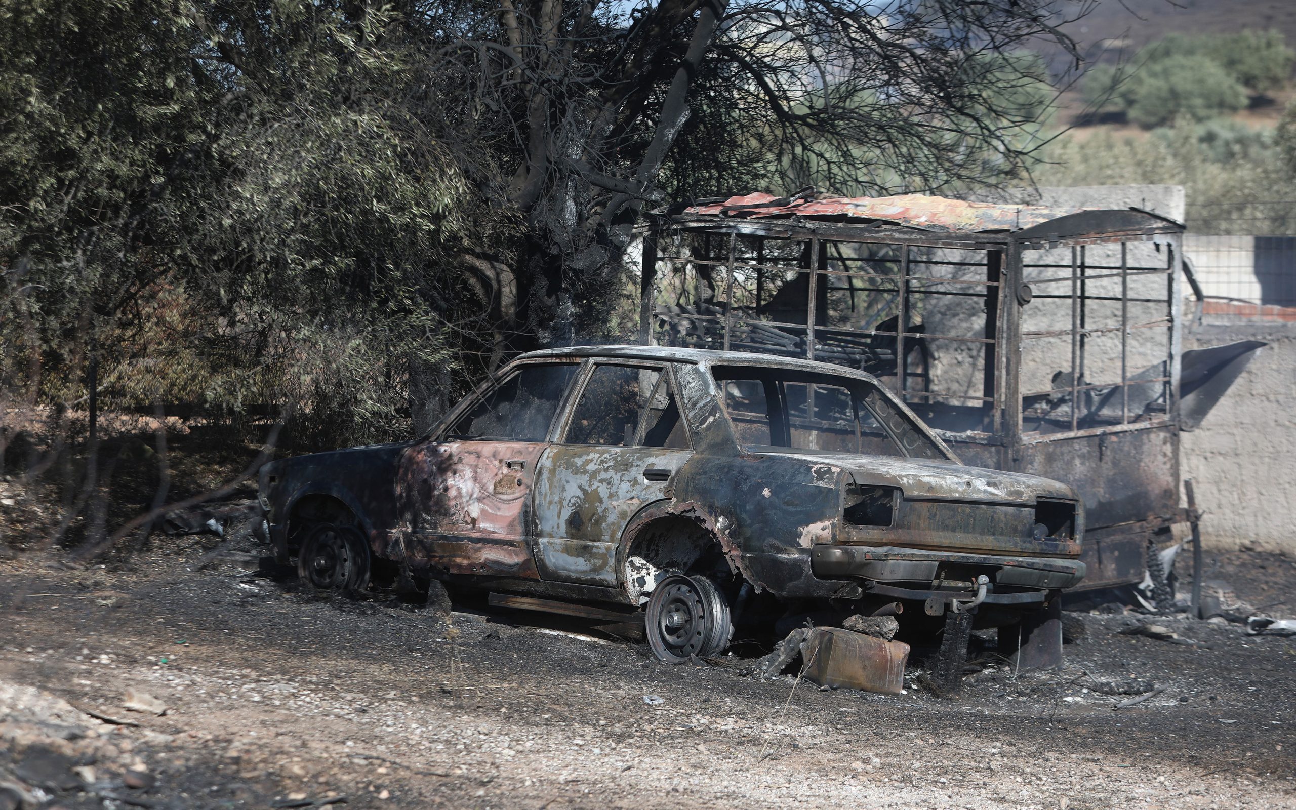 πυρκαγιά-στην-αττική-επί-ποδός-τη-νύχτ-561072556