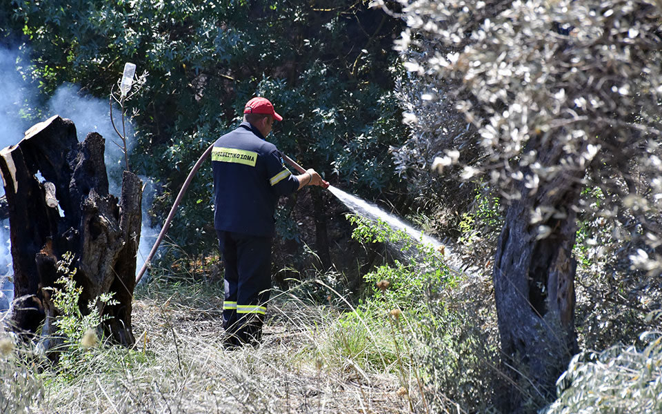 νέα-φωτιά-στη-μεσσηνία-561073603