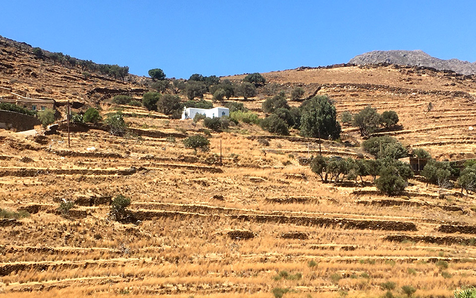 τήνος-συνωμοτώντας-με-τη-φύση-561069940