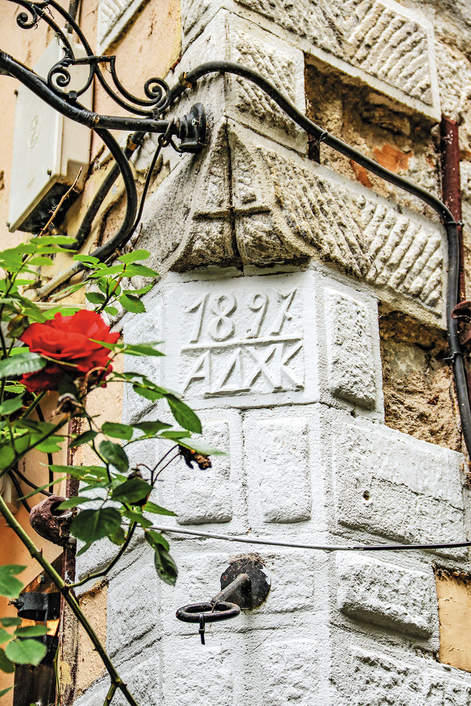 Θηρευτής και συλλέκτης εικόνων-7