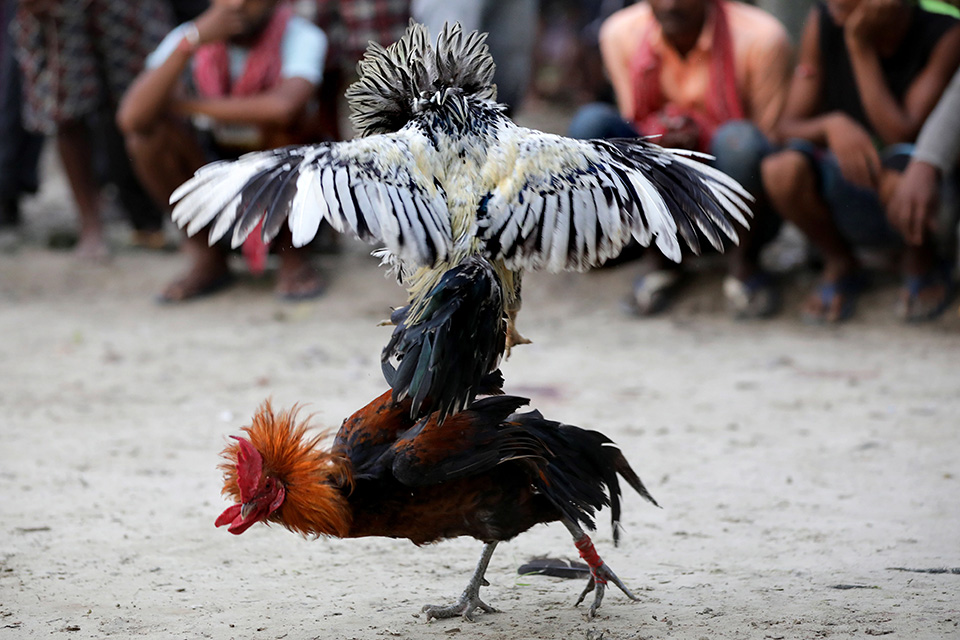 Μέχρι θανάτου