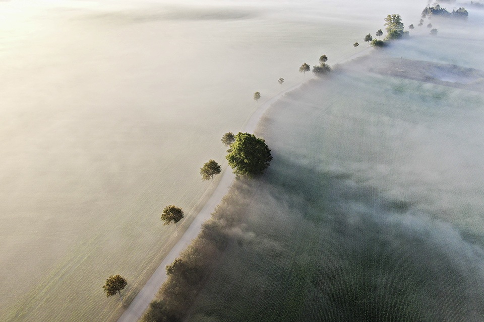 Καταφτάνει