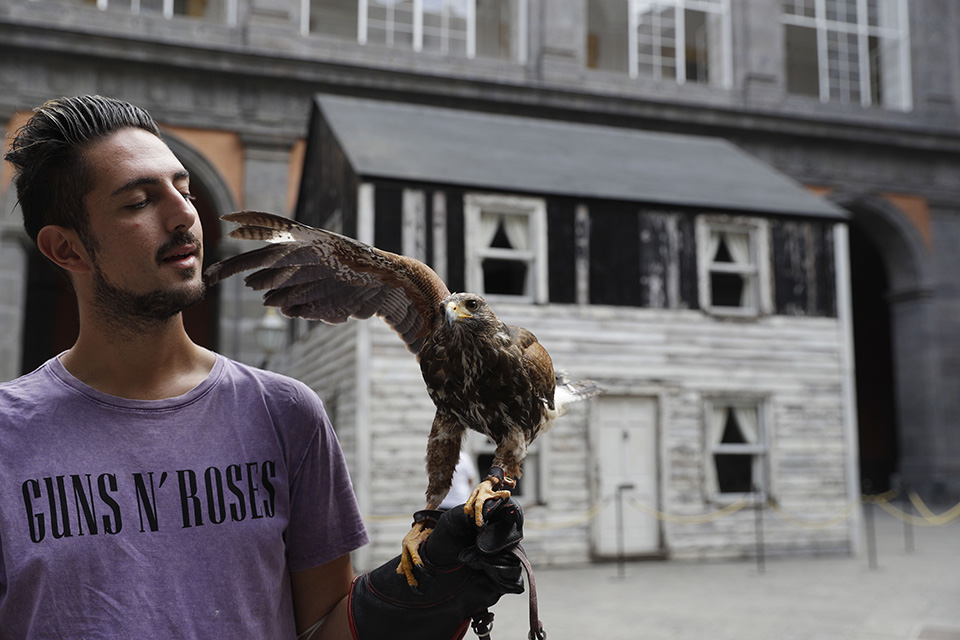 Φτερωτός επιμελητής