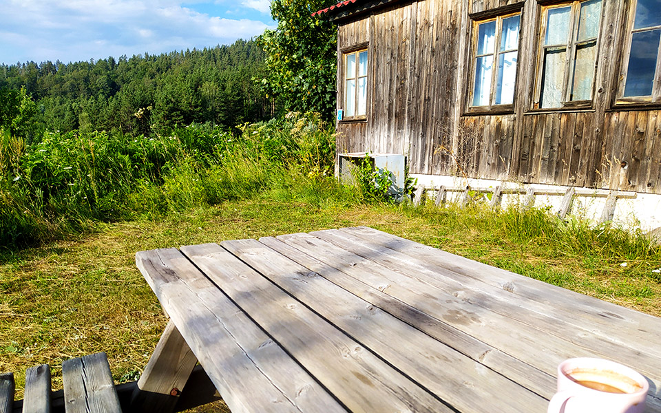 δάσος-φρακτού-ροδόπη-με-θέα-ουρανό-561078091
