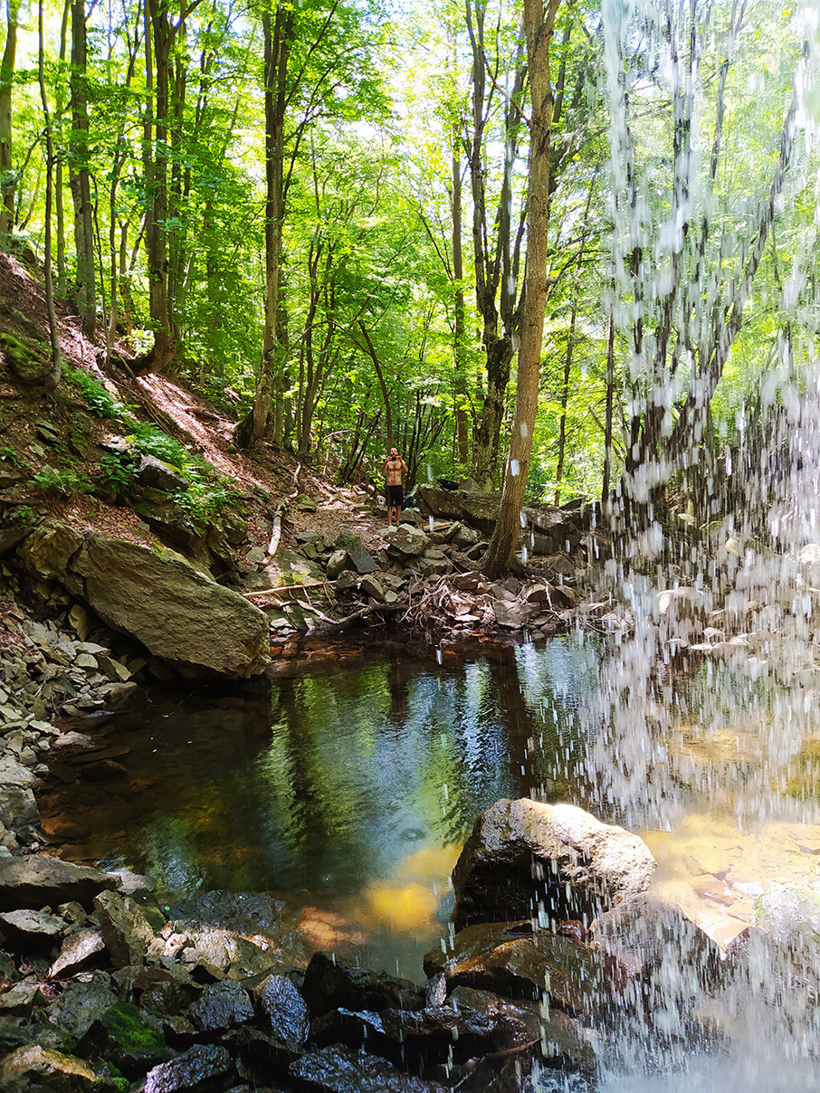 Δάσος Φρακτού – Ροδόπη: Με θέα ουρανό-1