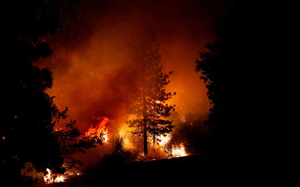 μαίνεται-η-μάχη-με-τις-φλόγες-στην-καλι-561070972
