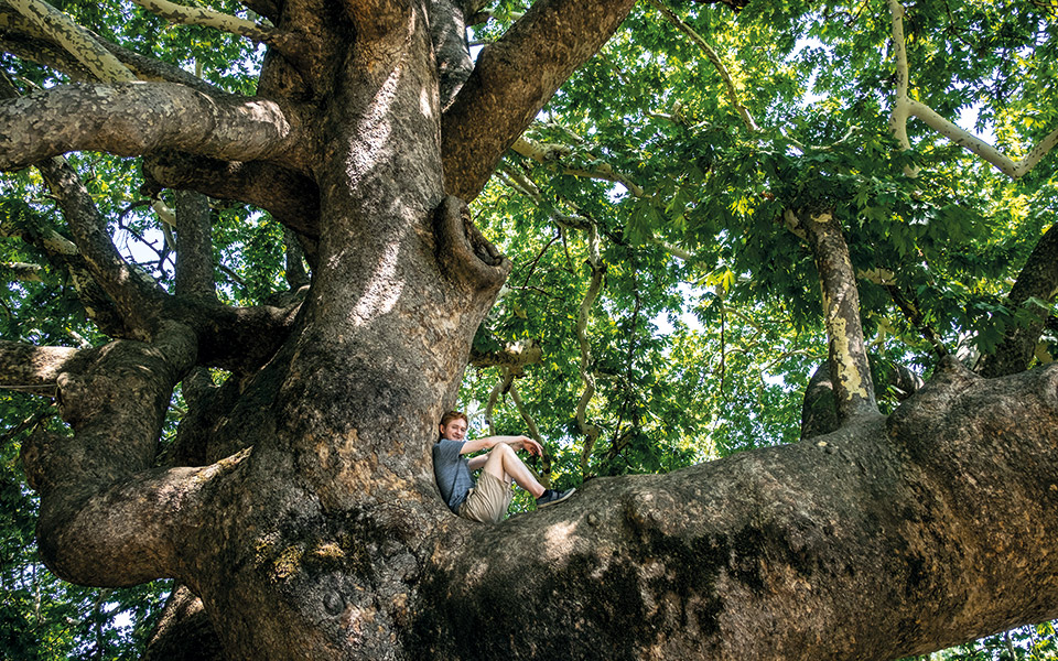 τα-αξέχαστα-καλοκαίρια-του-πηλίου-561066160