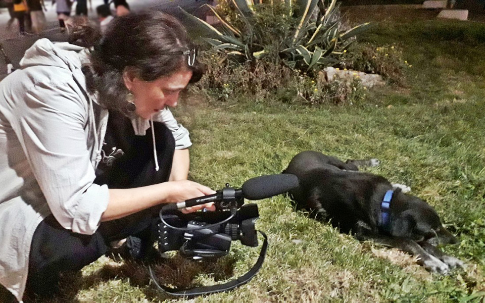 στον-αέρα-η-ενίσχυση-του-ελληνικού-σ-561089080