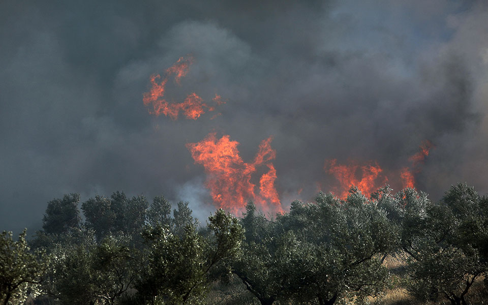 μαίνεται-η-πυρκαγιά-στα-καλύβια-561072361