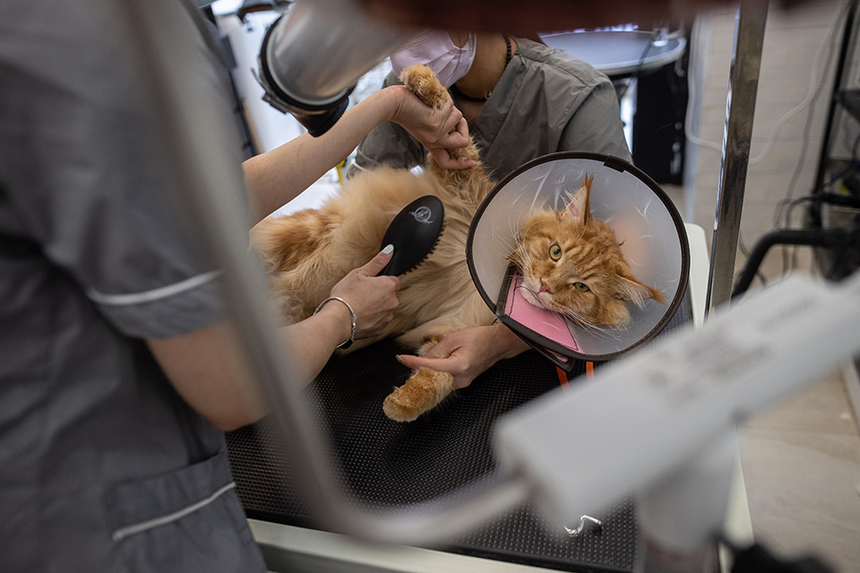 Αχρηστες πολυτέλειες