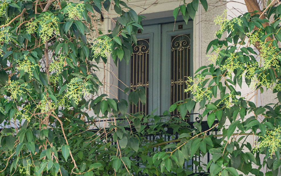 το-ελληνικό-σπίτι-της-αγγελικής-χατ-561066841