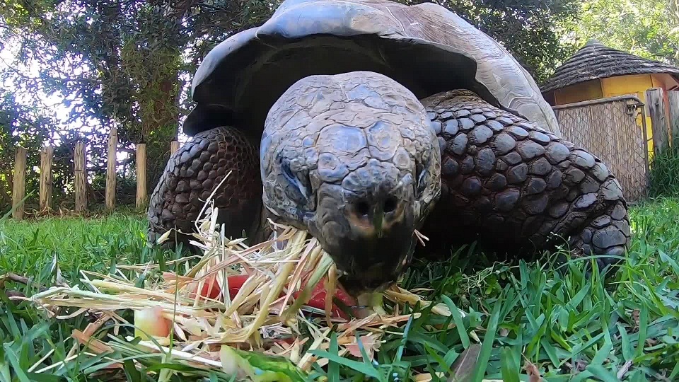 πώς-να-γιορτάσεις-τα-54α-γενέθλιά-σου-αν-561092053
