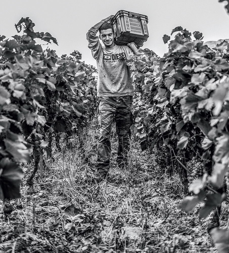 Ο Άγιος Σεπτέμβριος ο Τρυγητής-1